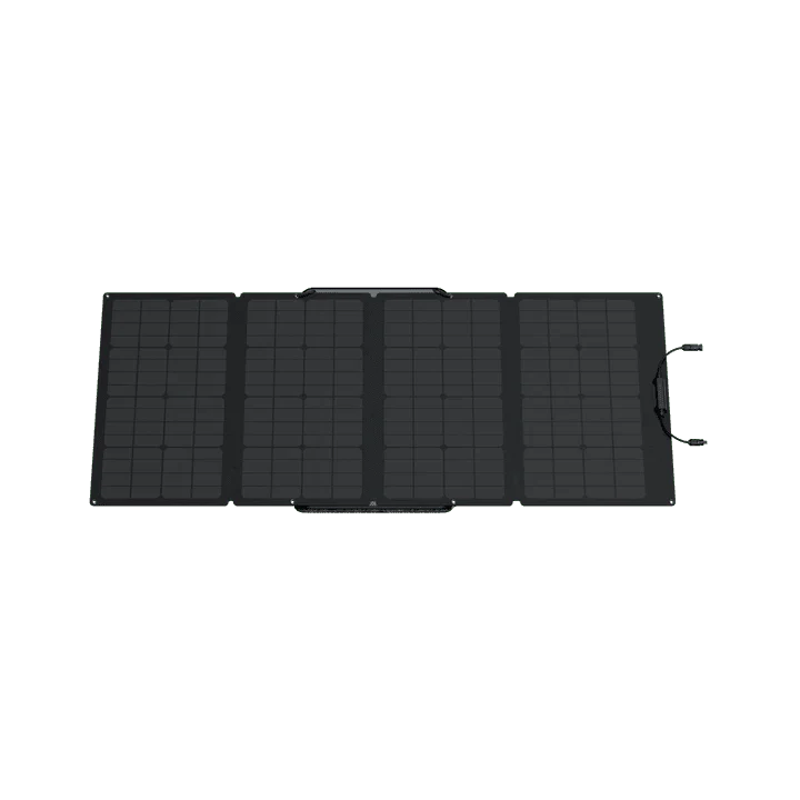 EcoFlow DELTA 2 Max + 160W Portable Solar Panel - Image 10