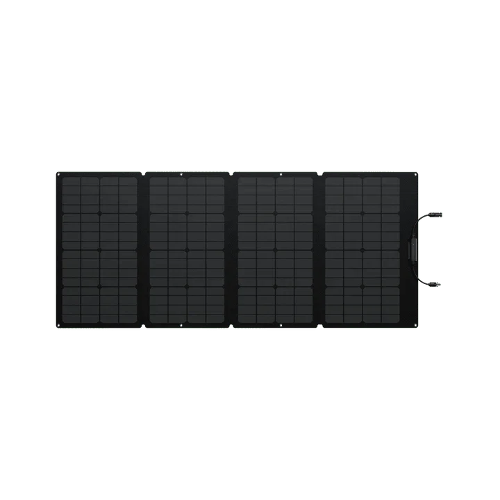 EcoFlow DELTA 2 Max + 160W Portable Solar Panel - Image 11