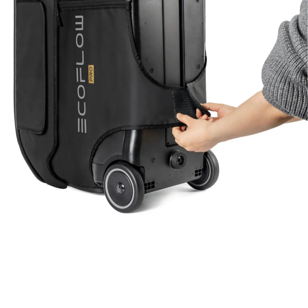 EcoFlow DELTA Pro Bag - Image 4