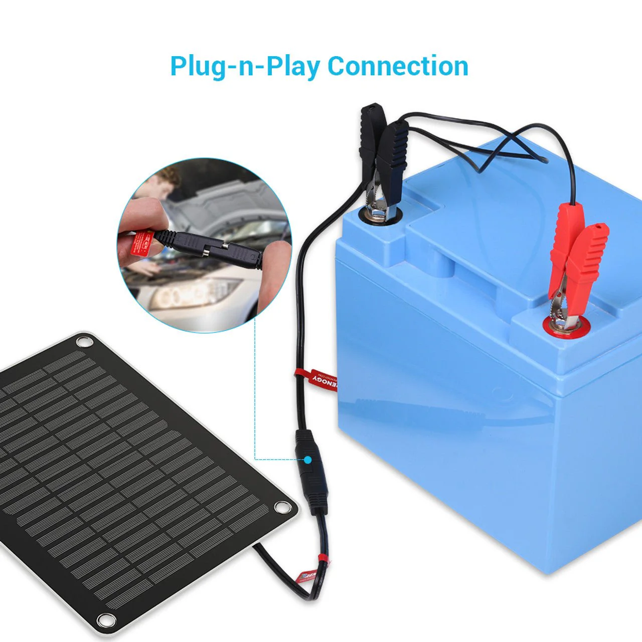 Renogy 5W Solar Battery Charger and Maintainer - Image 4