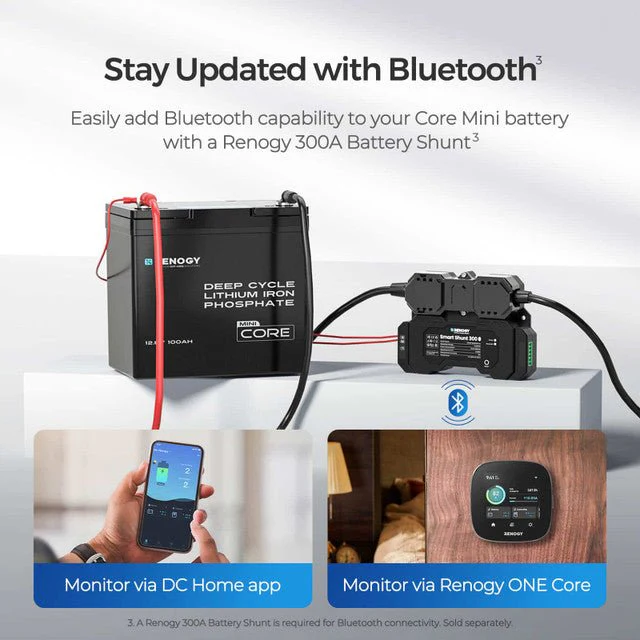 Renogy Core Mini - 12.8V 100Ah Lithium Iron Phosphate Battery - Image 4